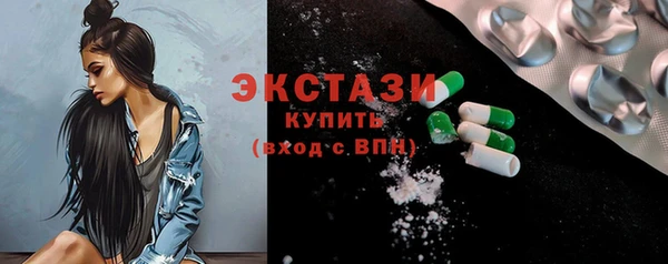 гидра Богородск