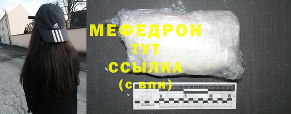 гидра Богородск