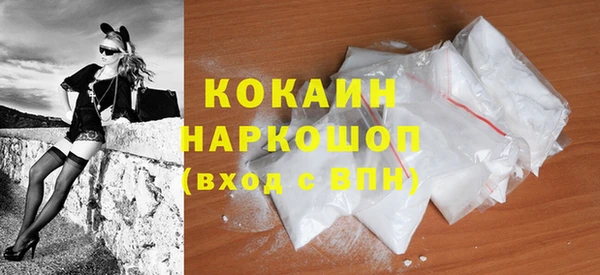 гидра Богородск