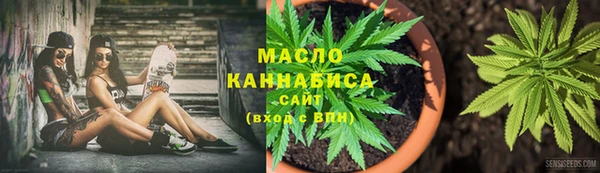 гидра Богородск