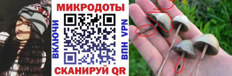 Купить  Миньяр  Галлюциногенные грибы ЛСД 